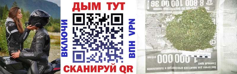 Бошки марихуана гибрид  дарк нет официальный сайт  Котовск 